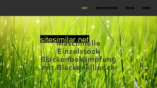 blackenkiller.ch alternative sites