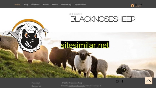 blacknosesheeps.ch alternative sites