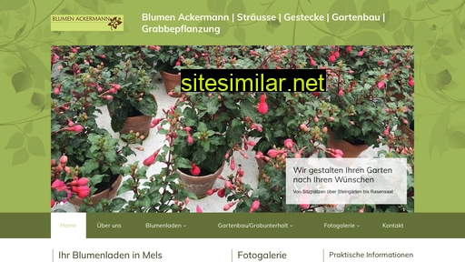 Blumen-ackermann similar sites