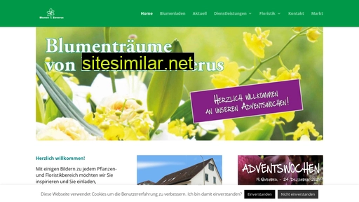 blumen-zweerus.ch alternative sites