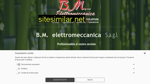 bm-elettromeccanica.ch alternative sites