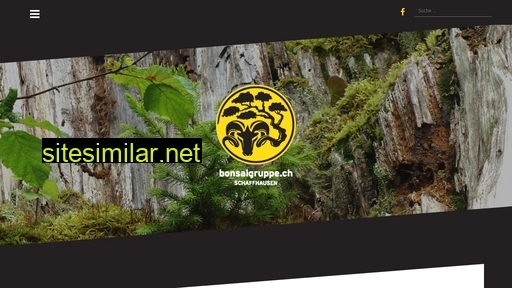 bonsaigruppe.ch alternative sites