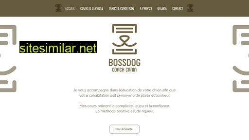 bossdog.ch alternative sites