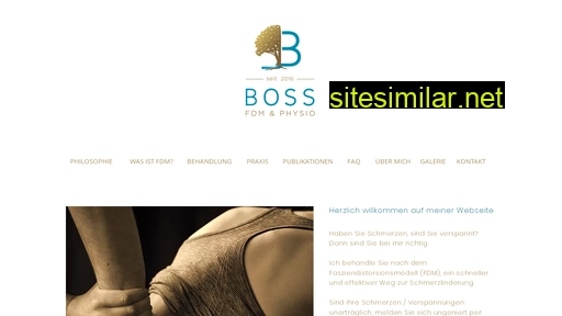 bossfdm.ch alternative sites