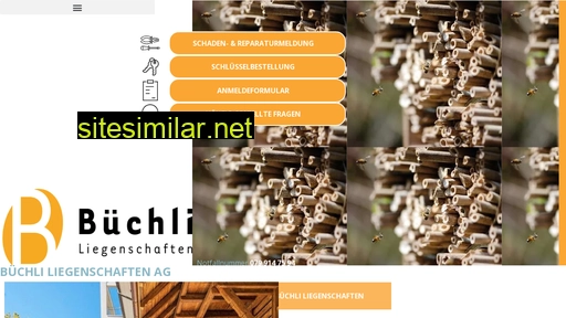 buechliag.ch alternative sites