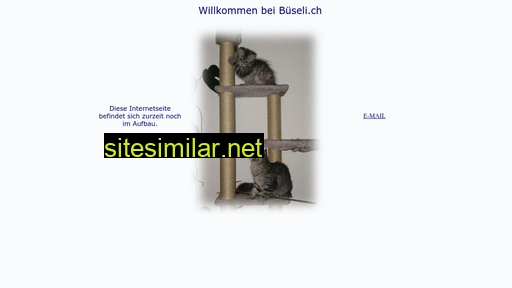 bueseli.ch alternative sites