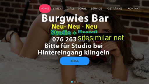 burgwiesbar.ch alternative sites