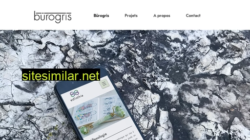 burogris.ch alternative sites