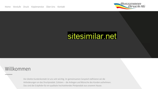 bussmann-druck.ch alternative sites