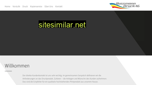 bussmanndruck.ch alternative sites