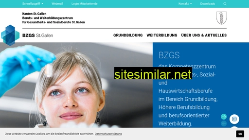 bzgs.ch alternative sites