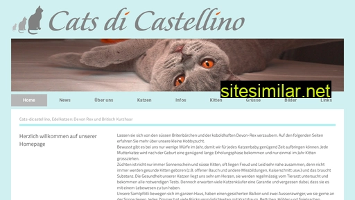 cats-dicastellino.ch alternative sites