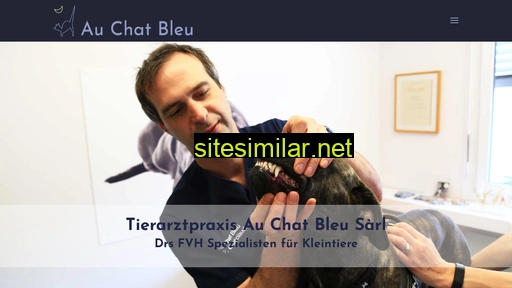 chatbleu.ch alternative sites