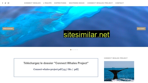 connect-whales.ch alternative sites