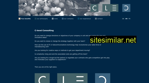 C-level-consulting similar sites