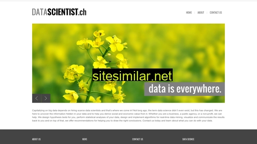 datascientist.ch alternative sites