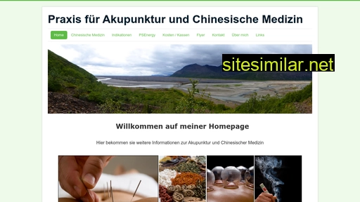 davos-akupunktur.ch alternative sites