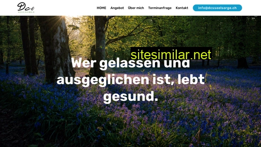 dcsseelsorge.ch alternative sites