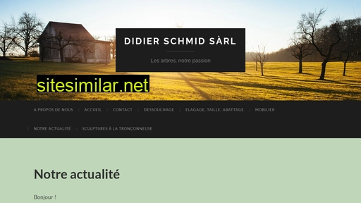 didier-schmid-sarl.ch alternative sites