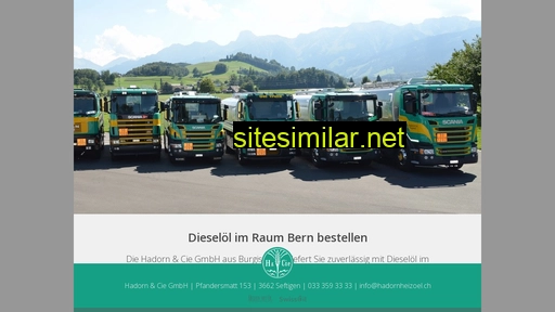 dieselbern.ch alternative sites