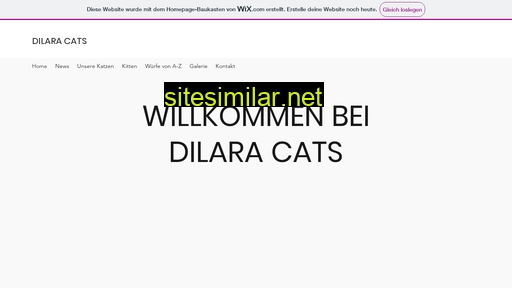 dilara-cats.ch alternative sites