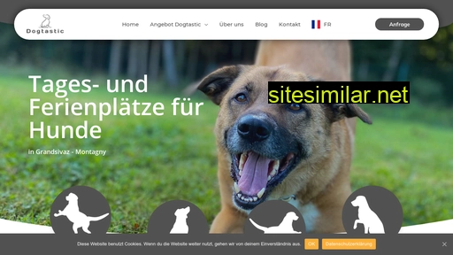 dogtastic.ch alternative sites