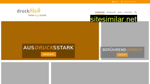 druck-frisch.ch alternative sites