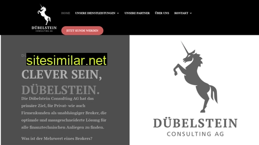 duebelsteinag.ch alternative sites