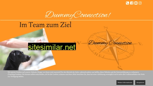 dummytraining.ch alternative sites