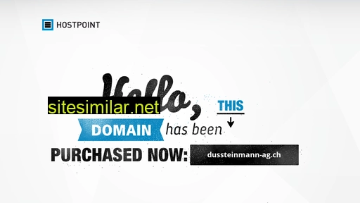 dussteinmann-ag.ch alternative sites