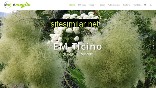 emeglio.ch alternative sites