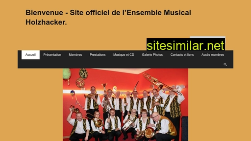 ensemble-holzhacker.ch alternative sites