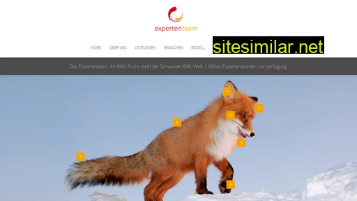 expertenteam.ch alternative sites