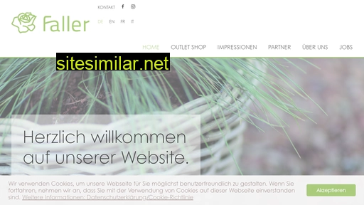 faller-ag.ch alternative sites