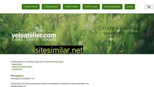 flyern.ch alternative sites