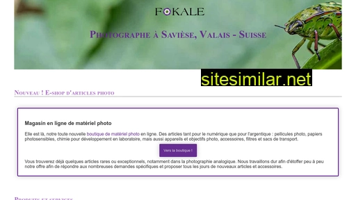 fokale.ch alternative sites