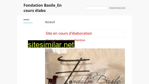 fondationbasile.ch alternative sites