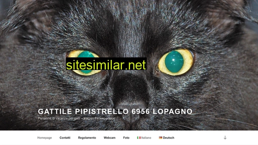 gattile.ch alternative sites