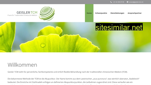 geisler-tcm.ch alternative sites
