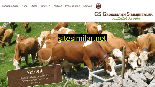 gs-grossmann.ch alternative sites