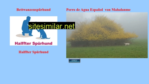 halffter-spuerhund.ch alternative sites