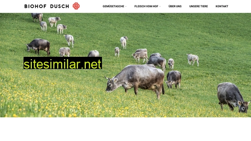 hof-dusch.ch alternative sites
