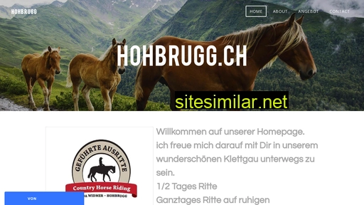hohbrugg.ch alternative sites