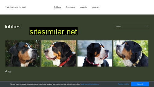 honden.ch alternative sites