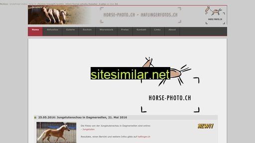 Horse-photo similar sites