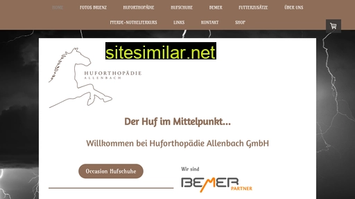 huforthopaedie-allenbach.ch alternative sites