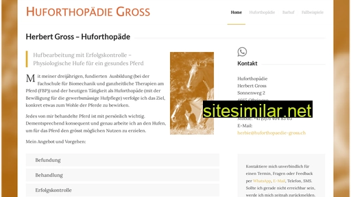 huforthopaedie-gross.ch alternative sites