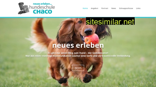 hundeschule-chaco.ch alternative sites