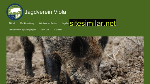 jv-viola.ch alternative sites