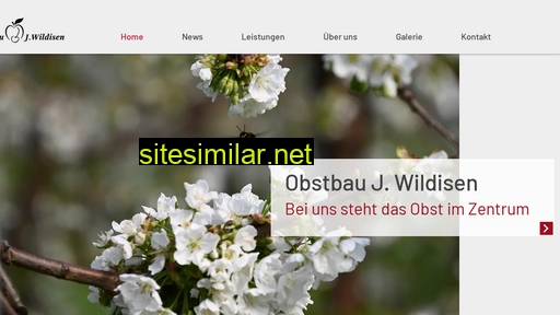 jwildisen.ch alternative sites